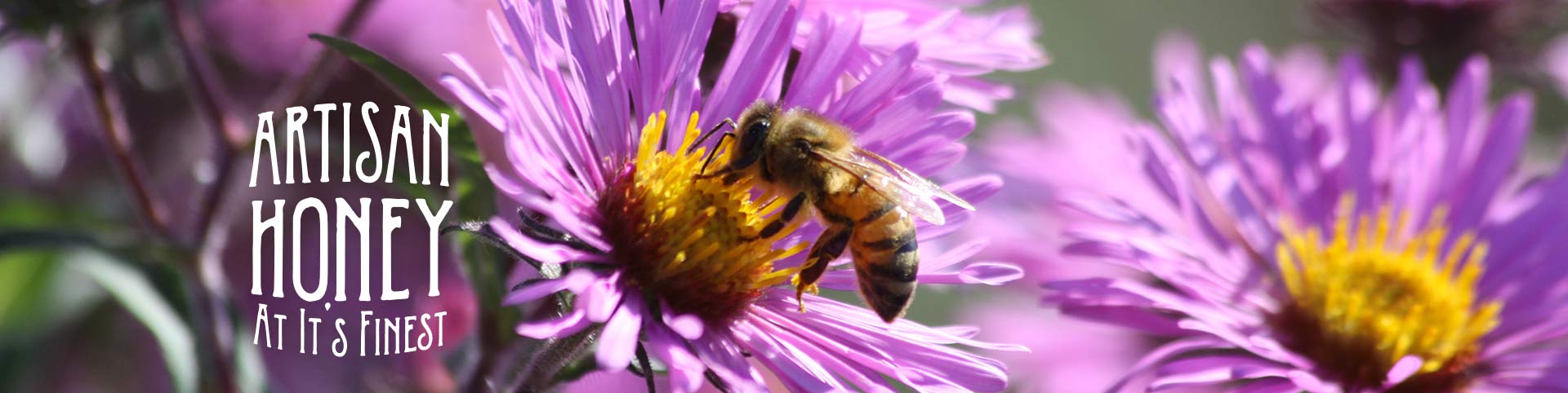 High Grade Bees Wax - Wisconsin Natural Acres